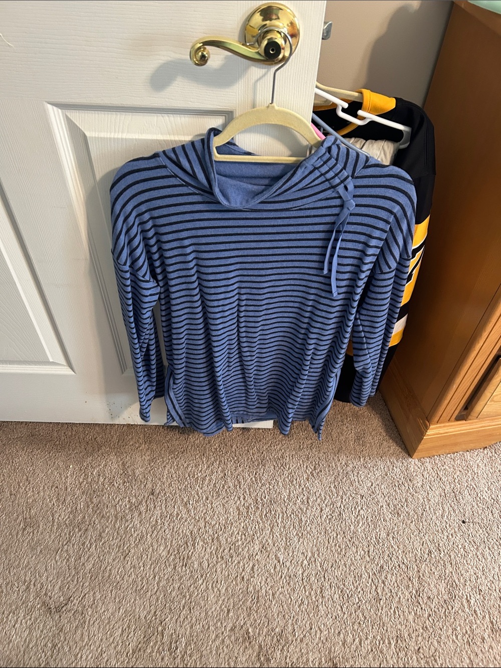 Talbots Blue and Navy Striped Lightweight Hooded Pullover